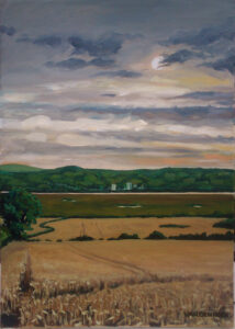 Cornfields