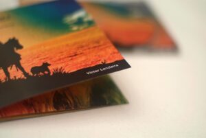 Evocaciones Criollas Author CD