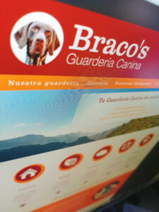 Bracos web real